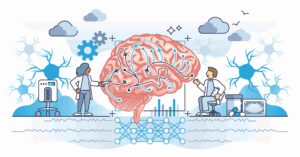 血液脳関門のバリア活性制御抗体