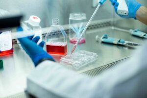 細胞観察画像撮影装置